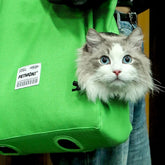 Portable Breathable Bag Walk Design Cat Dog Carrier