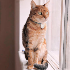 Smart GPS Tracker – Anti-Lost Bluetooth Locator for Pets