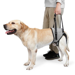Adjustable Dog Rear Lift Harness - Soft Padded Back Leg Support Sling for Large Dogs