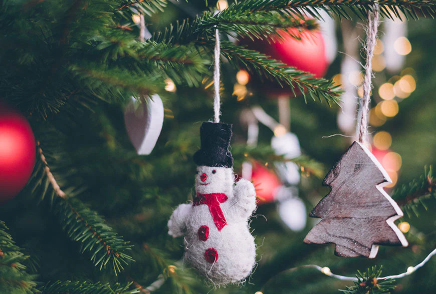 Choosing the Perfect Christmas Tree for Your Home