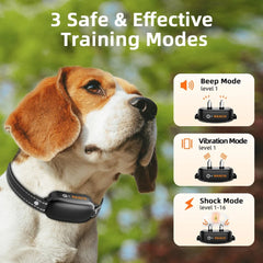 IPX7 Waterproof Dog Training Collar – Rechargeable Remote Shock And Vibration