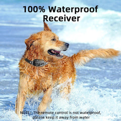 IPX7 Waterproof Dog Training Collar – Rechargeable Remote Shock And Vibration