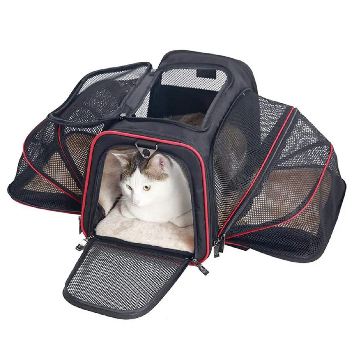 Portable Breathable Foldable  Pet Dog Carrier Safety Zipper